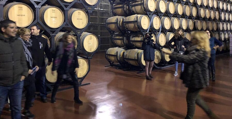 Aranda de Duero: Martín Berdugo Winery - Tour and Tasting - The barrel cellar: quiet atmosphere that helps aging