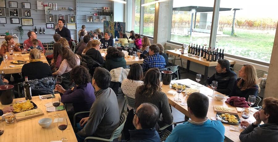Aranda de Duero: Martín Berdugo Winery - Tour and Tasting - Vegan option: easy if you tell them in advance