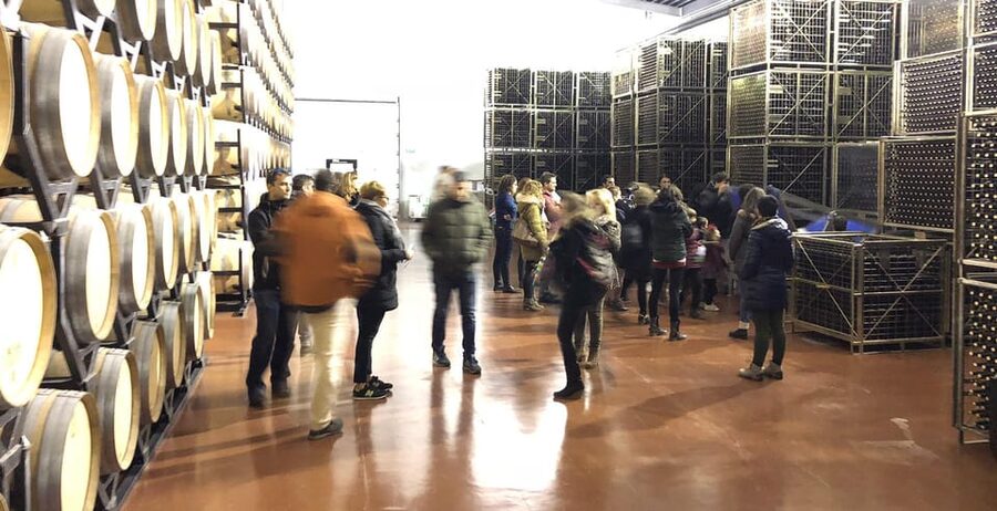 Aranda de Duero: Martín Berdugo Winery - Tour and Tasting - Vineyards first: what it means that the winery is in the vineyard
