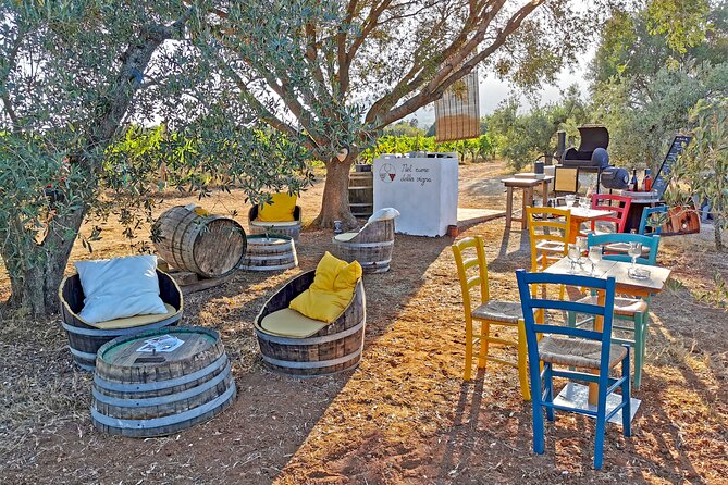 Archeology, visit to a vineyard and wine and pecorino cheese tasting - Cannonau tasting with pecorino, bread, oil, and honey