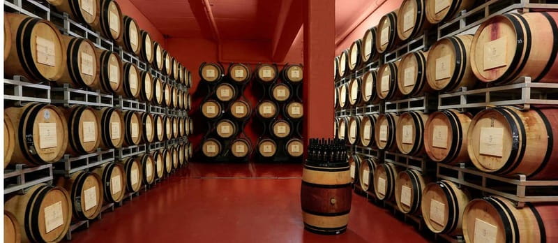 Arezzo Experience: Winery Tour and Wine Tasting - Key points to know before you go