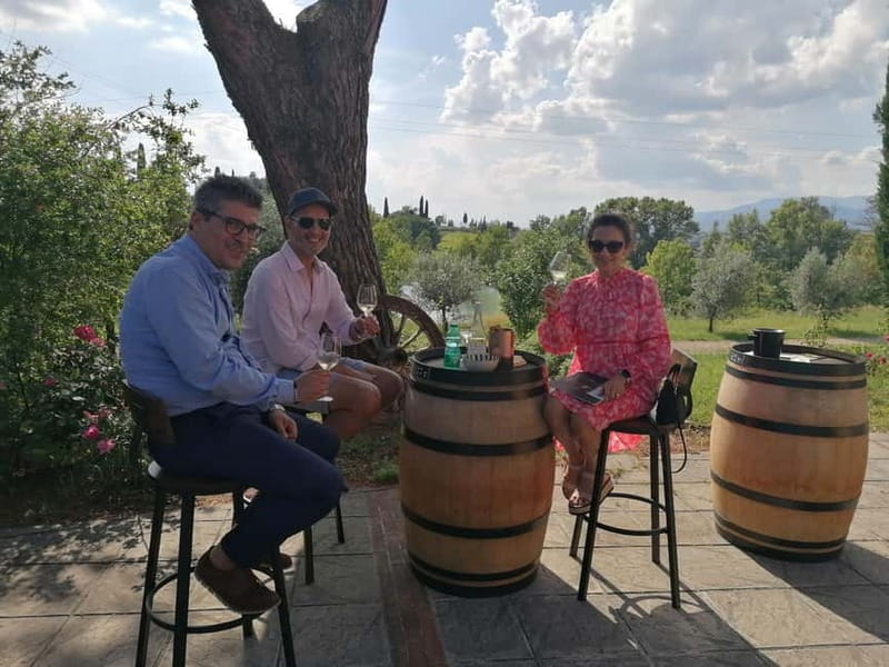 Arezzo Experience: Winery Tour and Wine Tasting - Olive oil tasting with bruschetta: the Tuscan palate reset