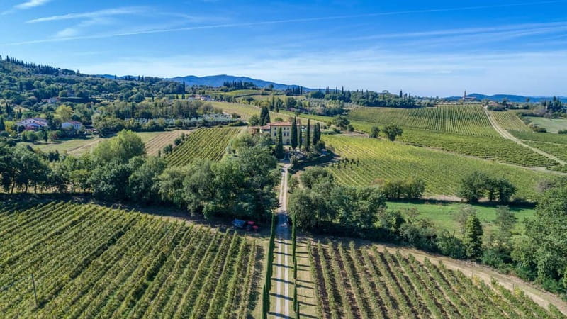 Arezzo Experience: Winery Tour and Wine Tasting - Value for a 1.5–2 hour winery stop (no guesswork)