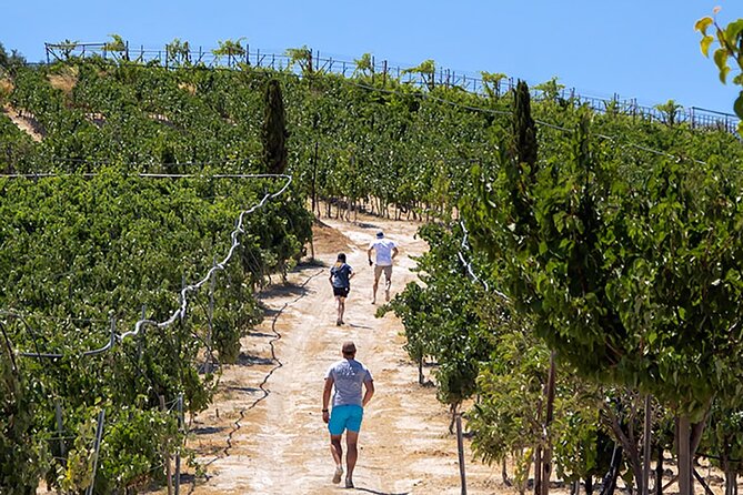 “ARISMARI” – Vineyard Tour & Wine Tasting - Key Highlights