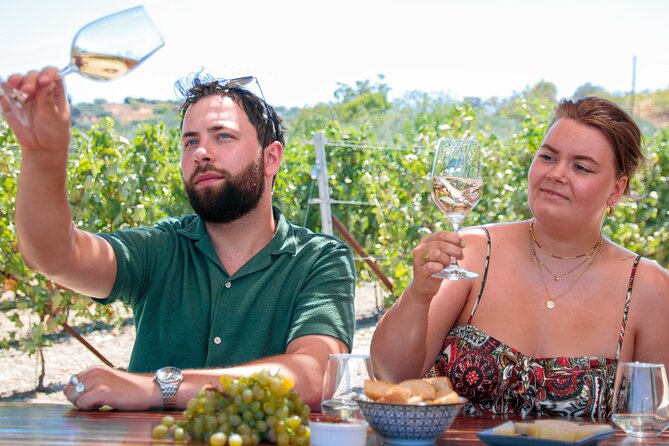 “ARISMARI” – Vineyard Tour & Wine Tasting - Stop 1: Douloufakis Winery tour before you hit the vines
