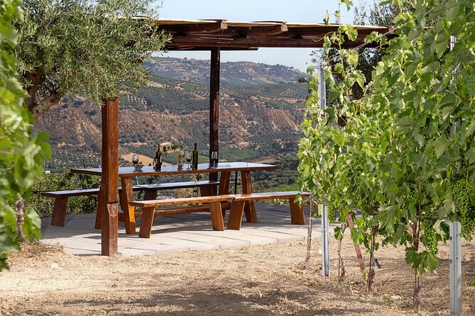 “ARISMARI” – Vineyard Tour & Wine Tasting - Vineyard walk and the pergola tasting: why the setting matters