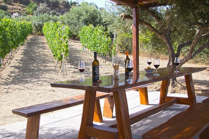 “ARISMARI” – Vineyard Tour & Wine Tasting - Timing, group size, and the relaxed pace that helps you actually taste
