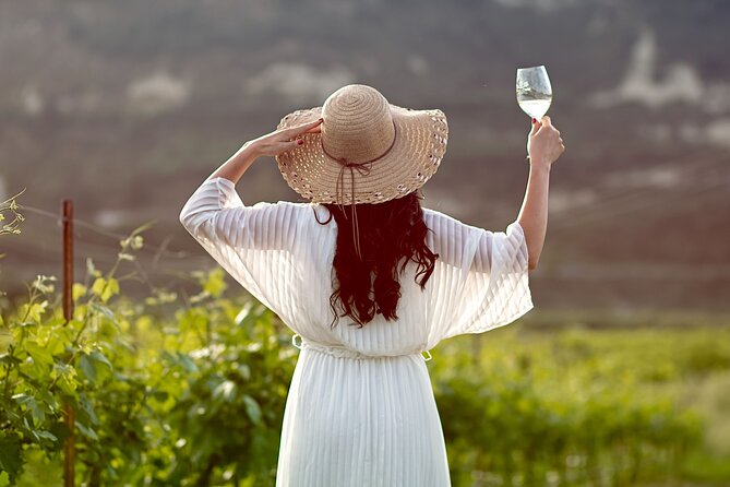 “ARISMARI” – Vineyard Tour & Wine Tasting - Getting to Dafnes 700 11 (and why timing starts early)