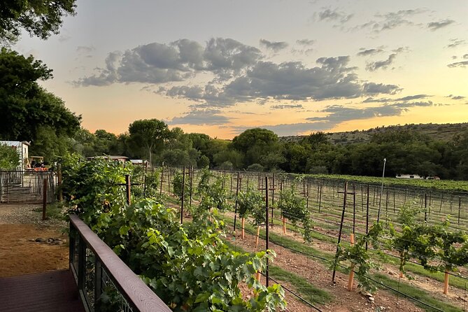 Arizona Winery All-Inclusive Tour with Lunch & Tastings - Key things to know before you go