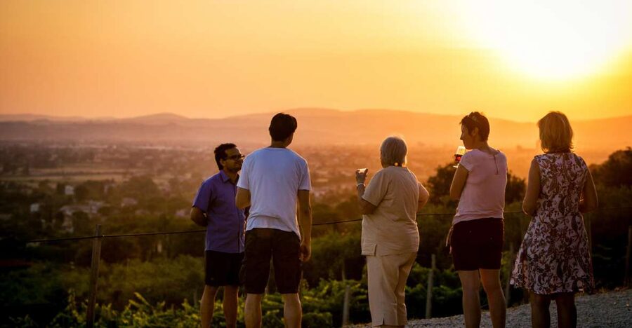 Assisi: Organic Winery Tour with Tastings & Typical Food - Key Highlights You’ll Care About