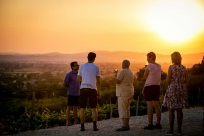 Assisi: Organic Winery Tour with Tastings & Typical Food - What You Actually Do for One Hour (And Why It Feels Worth It)