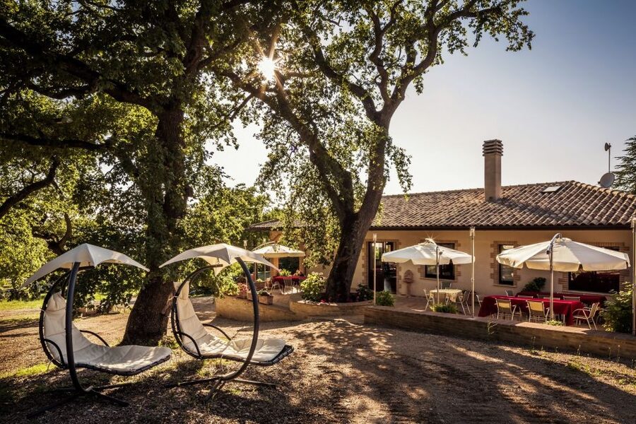 Assisi: Organic Winery Tour with Tastings & Typical Food - The Tasting Table: Five Wines Matched with Umbria and Norcia Favorites