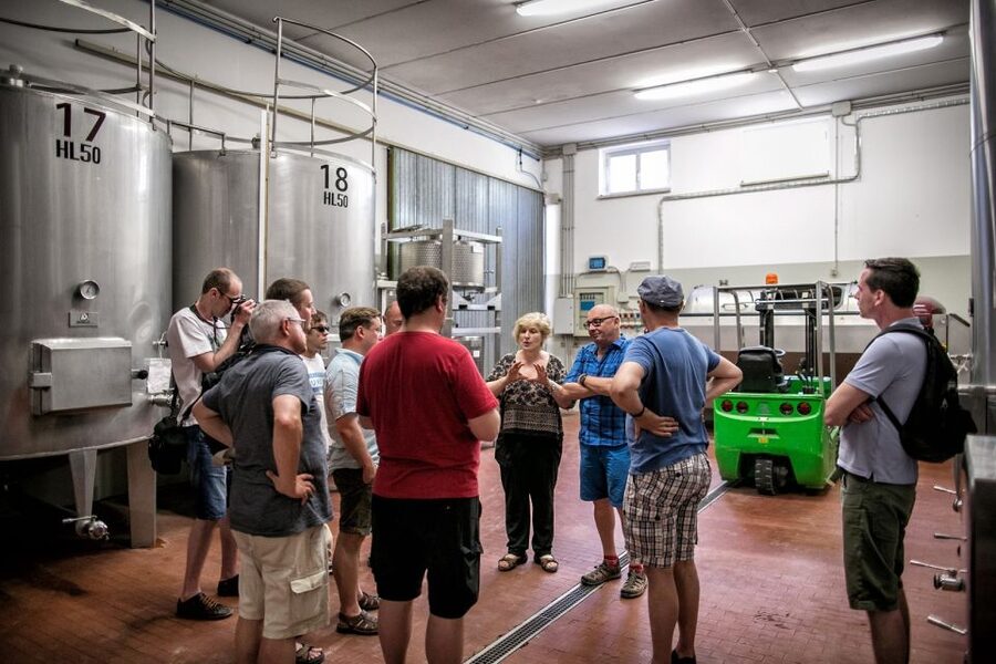 Assisi: Organic Winery Tour with Tastings & Typical Food - Who This Tour Is For (And Who Might Prefer Something Else)