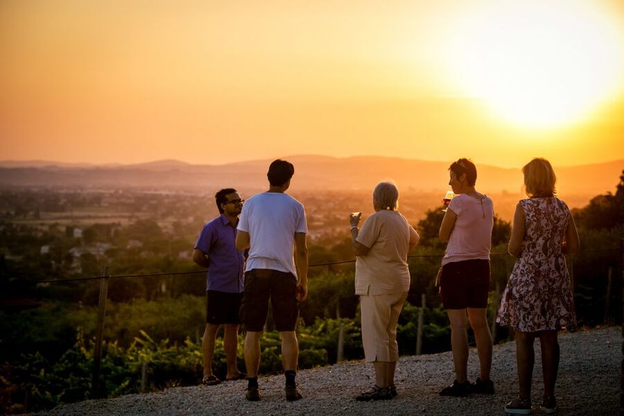 Assisi: Organic Winery Tour with Tastings & Typical Food - What You Actually Do for One Hour (And Why It Feels Worth It)
