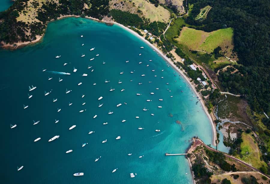 Auckland: Man O' War Vineyard Ferry (Waiheke Island) - Key things you’ll like most