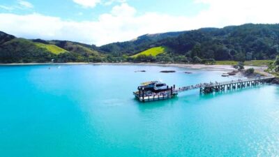 Auckland: Man O' War Vineyard Ferry (Waiheke Island) - Getting your bearings at Man O’ War Bay (and why the bay matters)