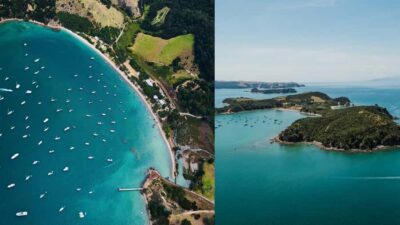 Auckland: Rotoroa Island and Man O'War Vineyard Combo Tour - Rotoroa Island: conservation tracks, wildlife, and beach breaks