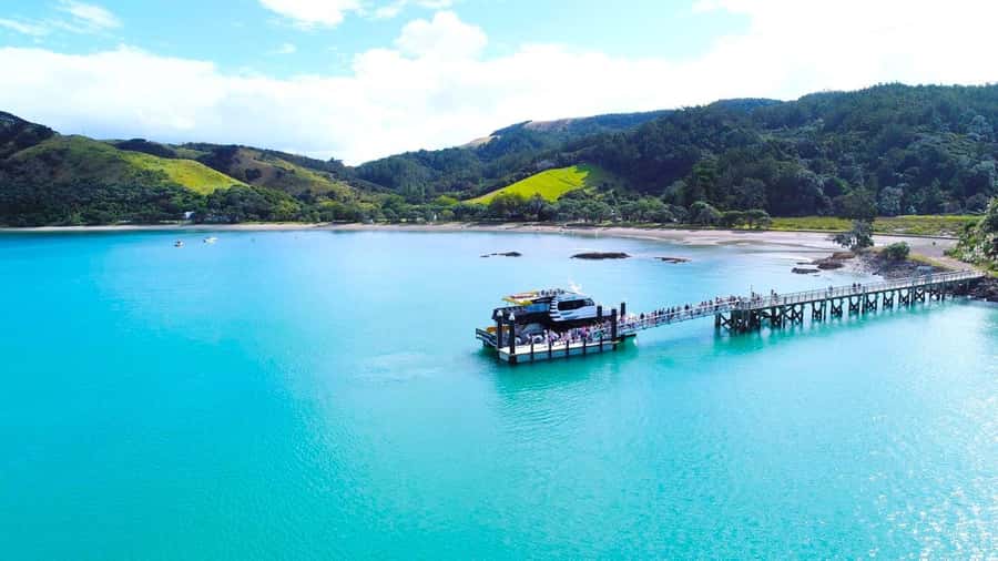 Auckland: Rotoroa Island and Man O'War Vineyard Combo Tour - FAQ