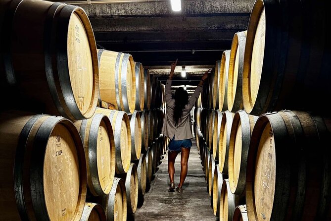 Auckland West Vineyard Tour with lunch and tastings incl - Price and value: what $335.11 per person gets you