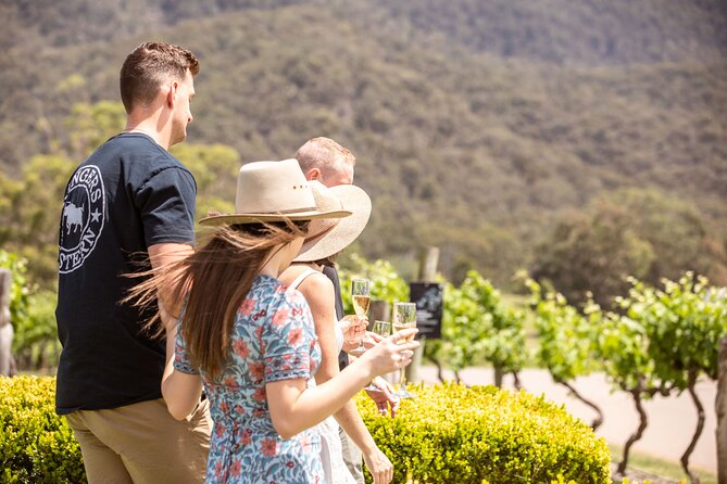 Audrey Wilkinson Vineyard: Picnic with Wine Masterclass Tasting - Picking Your Spot for the Gourmet Picnic in the Vines