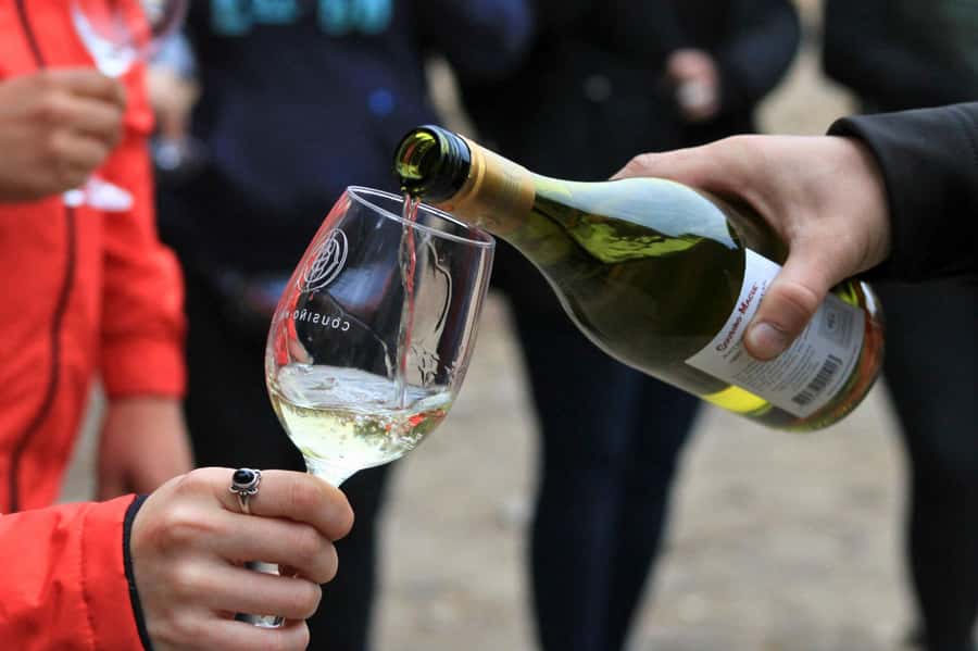 Bahá'i Temple and Cousiño Macul Vineyard - Who should book this tour (and who should skip it)