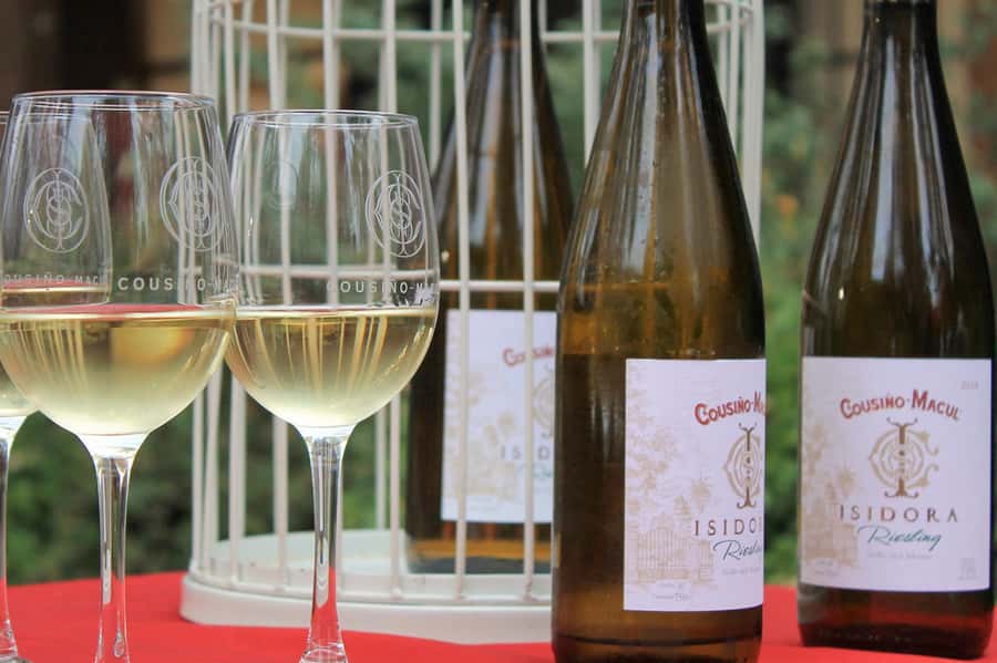 Bahá'i Temple and Cousiño Macul Vineyard - Practical tips before you go