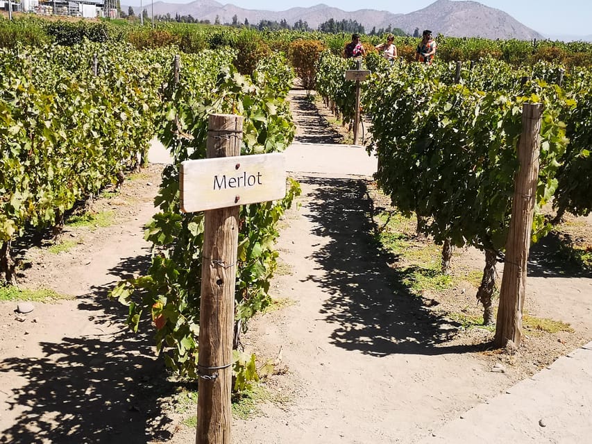 Bahá’í Temple, Winery and Lapis Lazuli + Private Transport - Value check: why this private tour makes sense for $159