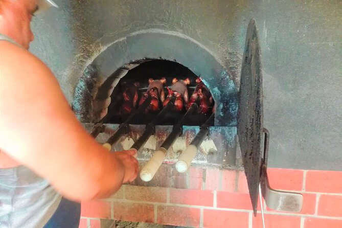 Bairrada Winery Route, full-day from Coimbra - Key things to know before you go