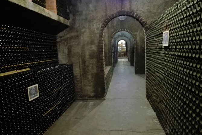 Bairrada Winery Route, full-day from Coimbra - Where the Guide Makes the Difference (Hi, Xavier)