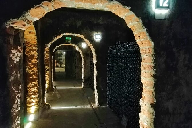 Bairrada Winery Route, half day from Coimbra - Key Points to Know Before You Go