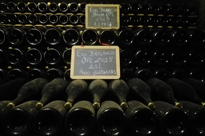 Bairrada Winery Route, half day from Coimbra - Stop 1 at Caves Messias: The Cave Experience That Sets the Tone