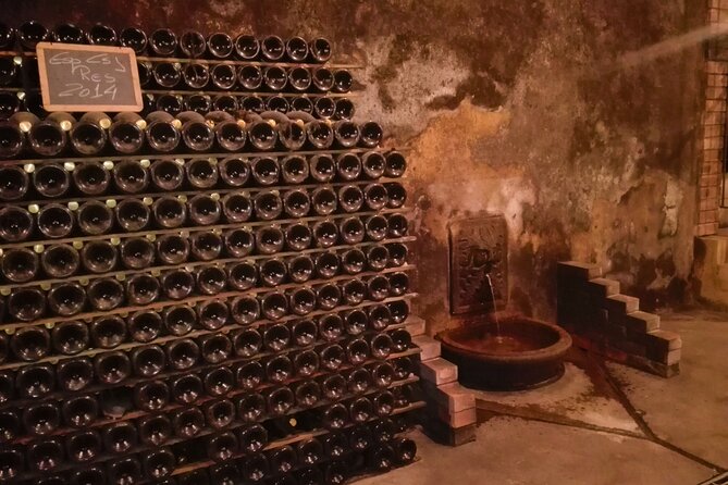 Bairrada Winery Route, half day from Coimbra - What Makes This Tour Feel Better Than DIY