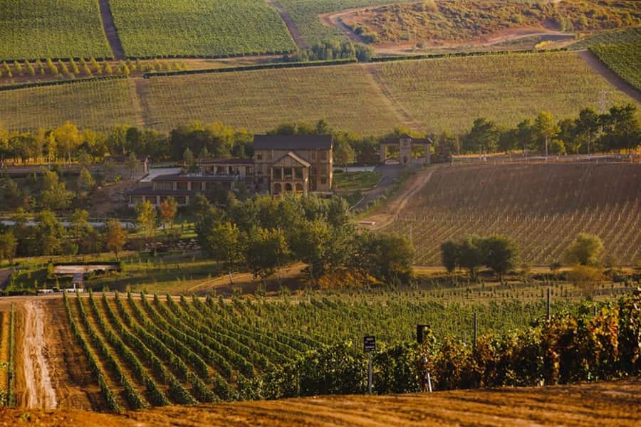 Baku: Organic Winery Tour in Shamakhi with Local Lunch - Key highlights you’ll actually care about