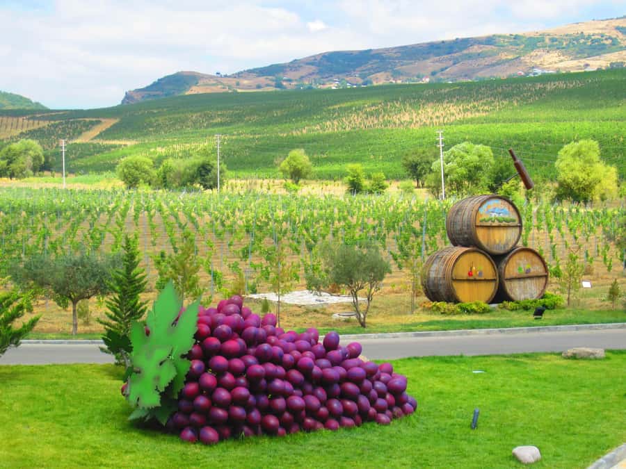 Baku: Organic Winery Tour in Shamakhi with Local Lunch - Organic wine in Shamakhi: why this stop matters