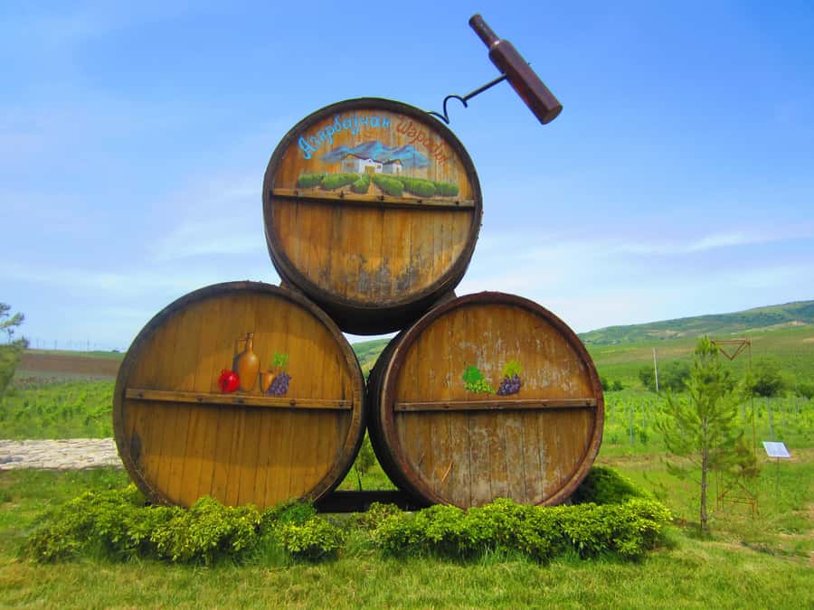 Baku: Organic Winery Tour in Shamakhi with Local Lunch - Shirvan wine tasting with cheeses: what you’ll learn