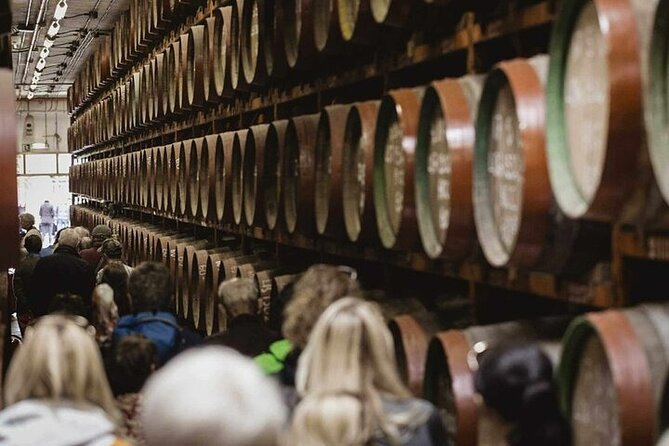 Banana Museum, Rum Distillery & Winery guided tour with tasting - Agaete lunch stop: a full hour to reset
