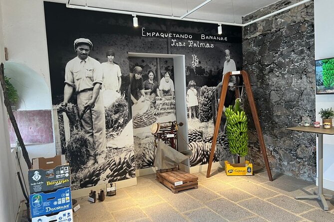 Banana Museum, Rum Distillery & Winery with Tasting: Premium tour - Who this tour suits best (and who should choose something else)
