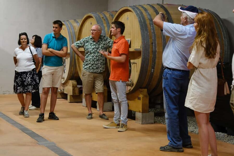 Bandol: Family Vineyard Tour and Tasting - Château Canadel in the Bandol hills: the setting that makes the tour click