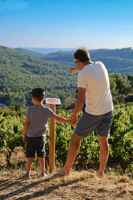 Bandol: Family Vineyard Tour and Tasting - The cellar walk: fermentation, oak aging, and why the process matters