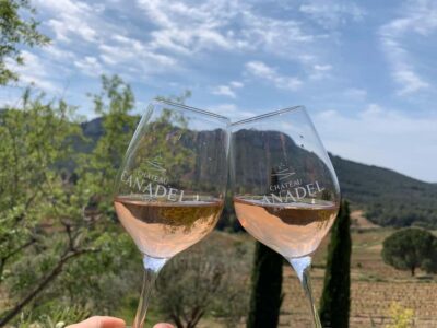 Bandol: Family Vineyard Tour and Tasting - Meet the winemaking family and start with the restanque vineyards