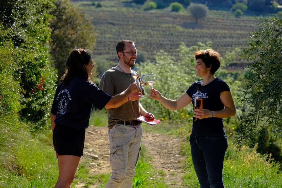 Bandol: Family Vineyard Tour and Tasting - Who this tour is best for (and who might want something else)
