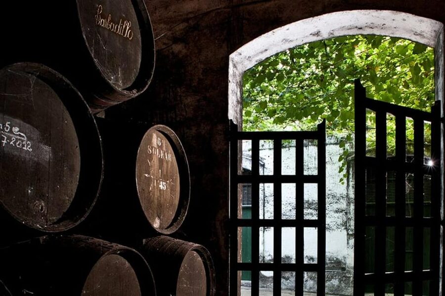 Barbadillo Winery Guided Tour in Cadiz with Wine Tasting - Understanding Manzanilla: What the Production Walk Teaches You