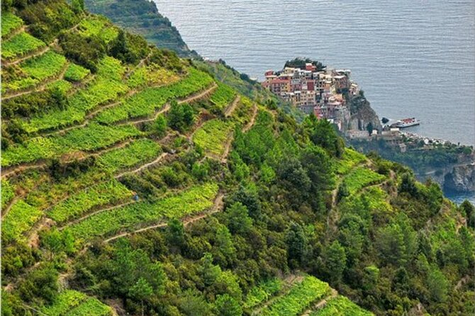 BarCa Winery Cinqueterre Trekking & Wine Tasting & Pesto Class - Where the BarCa Winery experience starts in Volastra