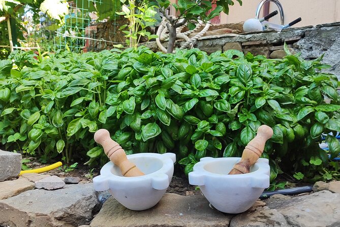 BarCa Winery Cinqueterre Trekking & Wine Tasting & Pesto Class - Price and value: why $78.10 feels fair here