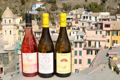 BarCa Winery Cinqueterre Trekking & Wine Tasting & Pesto Class - Vineyard trekking on the Manarola–Volastra path (what to expect)