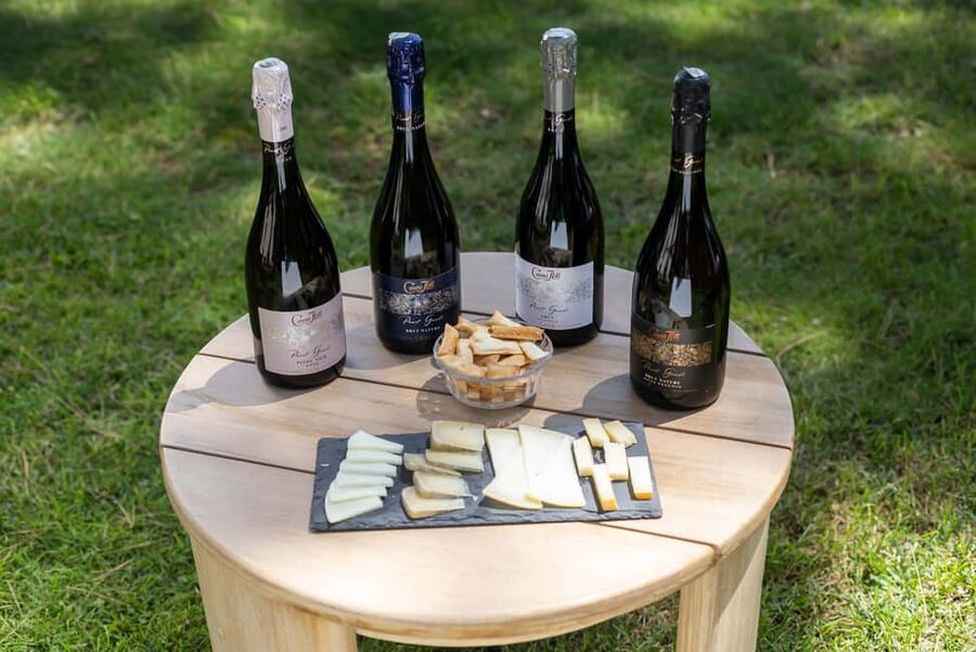 Barcelona: Cavas Hill - Winery Tour & Cheese Tasting - Cavas Hill in Catalonia: A 2-Hour Cava and Cheese Plan From Barcelona