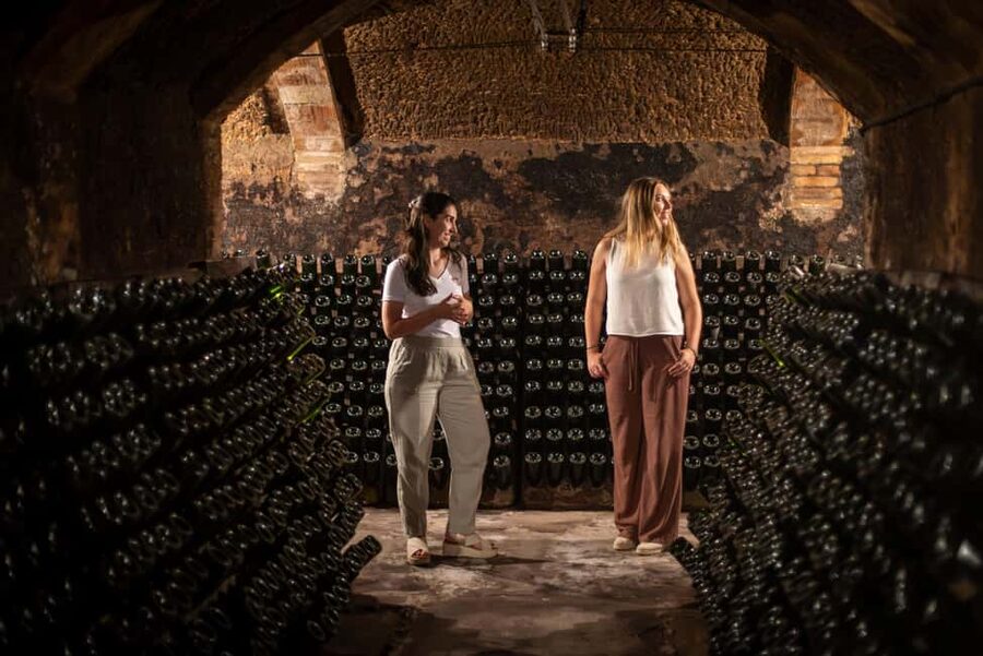 Barcelona: Cavas Hill - Winery Tour & Cheese Tasting - Vineyard Walk: Mediterranean Climate to Cava Flavor
