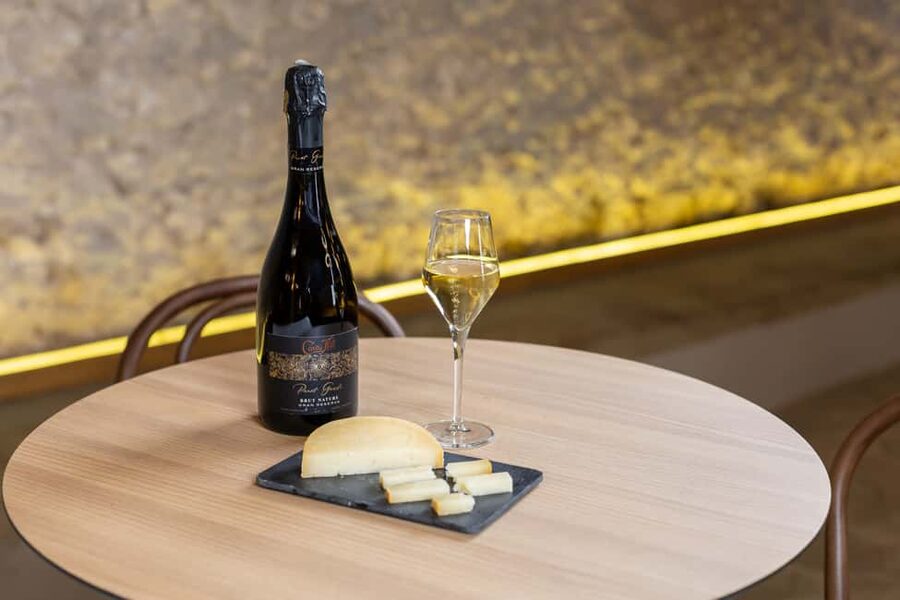Barcelona: Cavas Hill - Winery Tour & Cheese Tasting - Practical Tips to Make Your Visit Smooth
