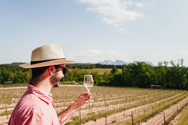 Barcelona: Montserrat and Winery Tour with Tapas or Lunch - Price and Logistics: Is $61 a Good Deal for This Much Coordination?