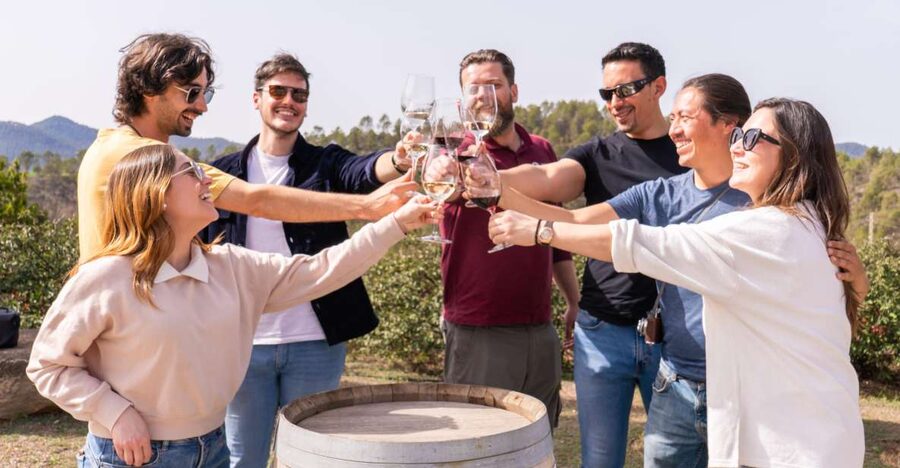 Barcelona: Montserrat, Winery Tour & Lunch with Wine Tasting - The Cogwheel Train: Your First Big Payoff